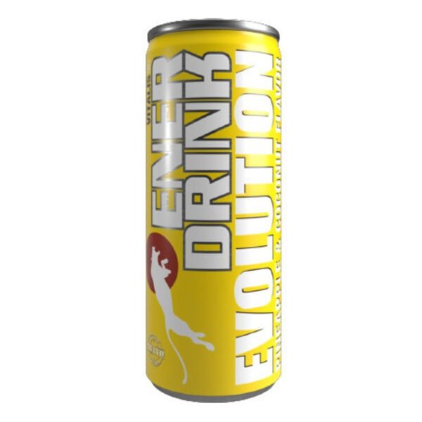 Enerdrink Piña Coco 250ml